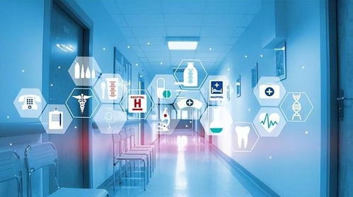 放開絕非躺平 蘇州與上海引領(lǐng)智能科技發(fā)展新浪潮